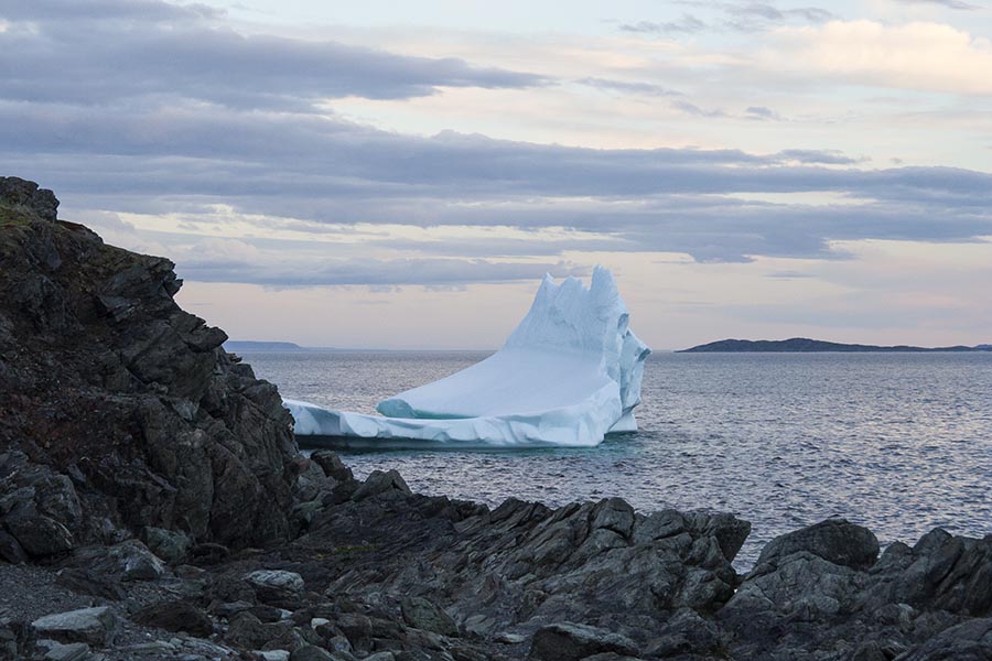 Iceberg off the Point at Goose Cove